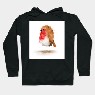 Robin, Bird, Watercolour Illustration Hoodie